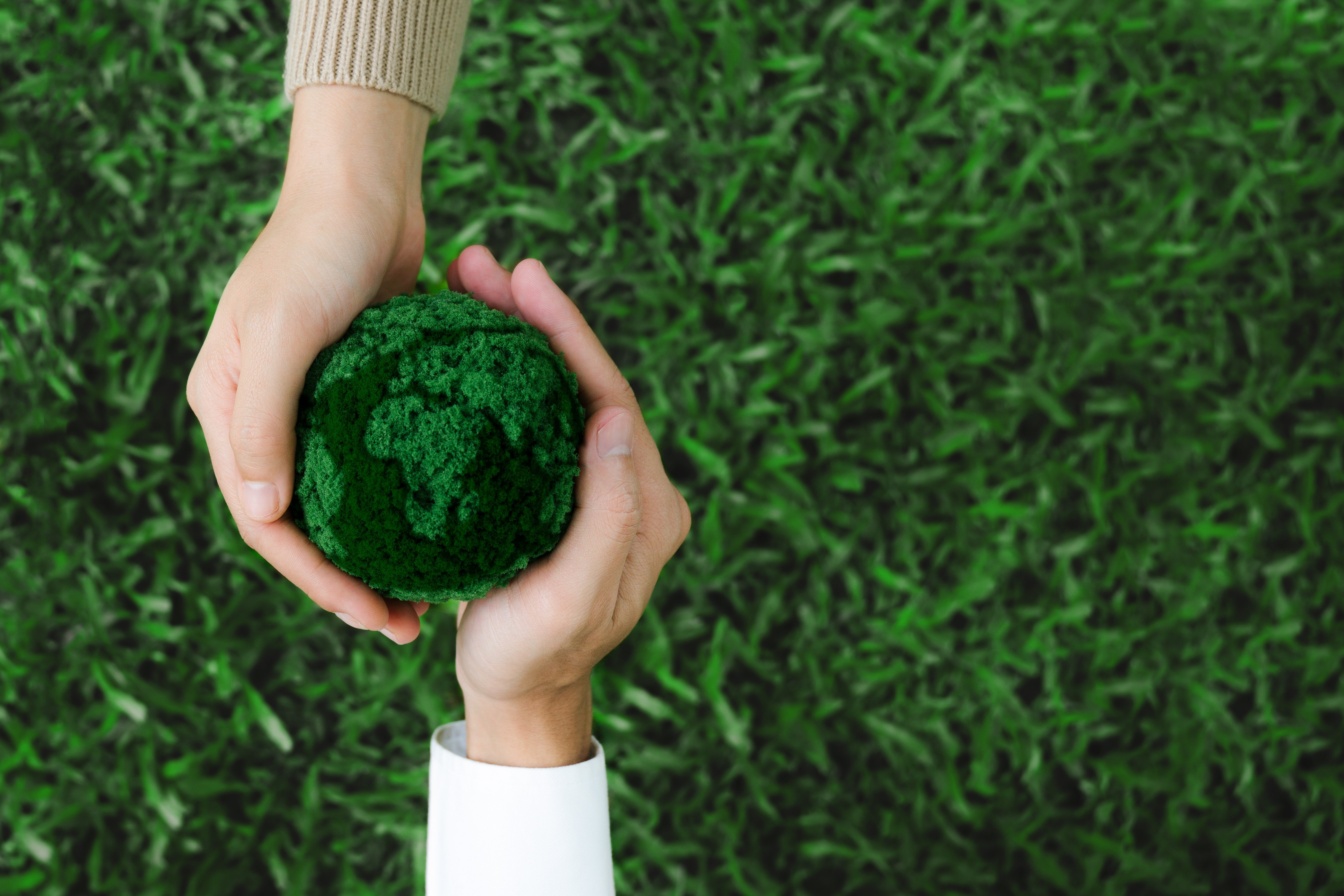 shutterstock_2473821271